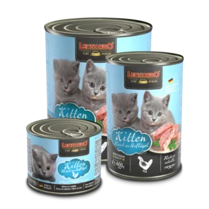 Leonardo Quality Selection Kitten