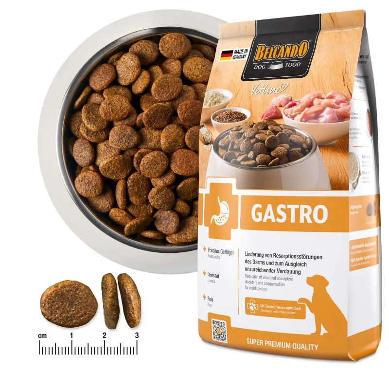 BELCANDO Vetline Castro — изображение 3